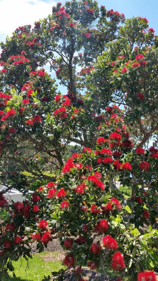 Jake'S Place Oneroa Waiheke ภายนอก รูปภาพ